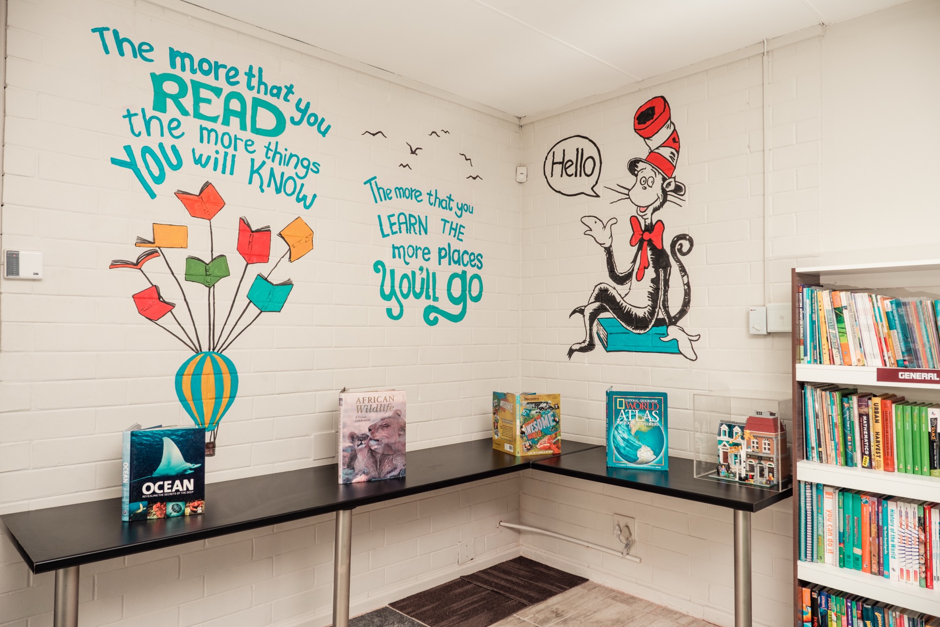 Rydalvale Primary library project photo